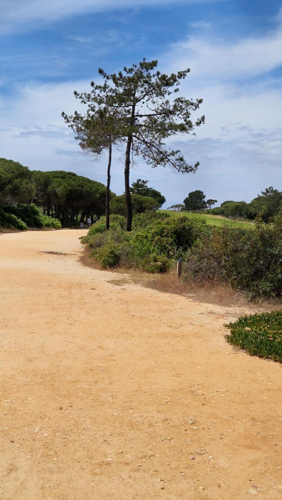 Domek V Srdci Fara FAO Exteriér fotografie